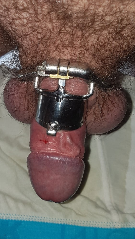 Chastity cage #12