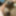My wife nude photo sex mode