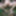 Best Of Hairy Mature Wife JoyTwoSex 1 #16