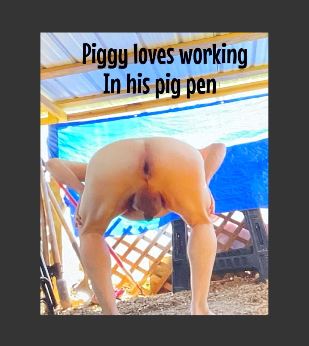 Piggy