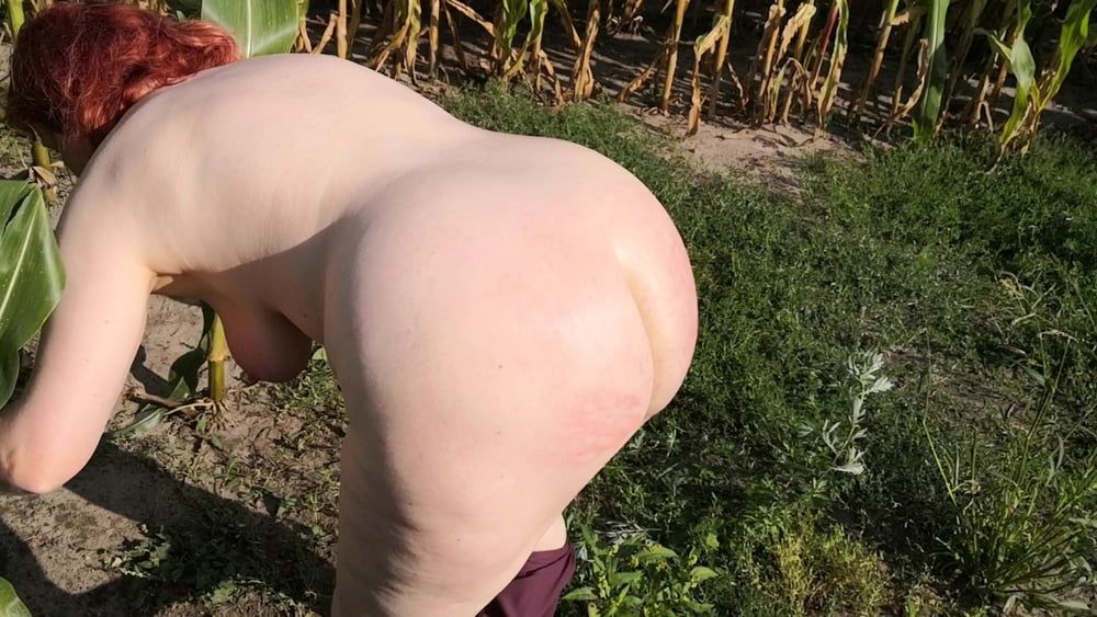 Naked whipping in cornfield #3