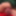 Dick pics and other fun