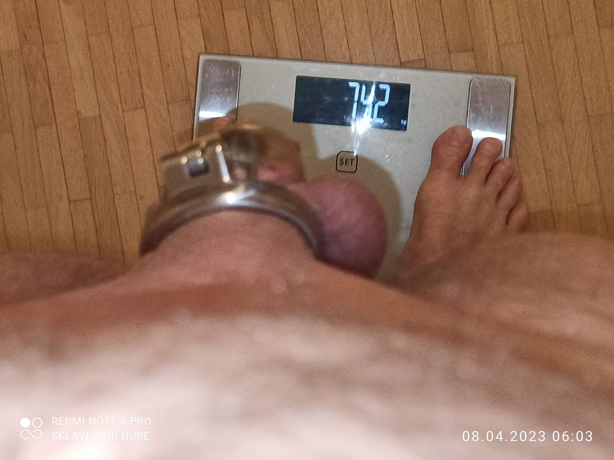 mandatory weighing and cagecheck of 8/4/23 #15