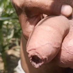 who likes indian dick 