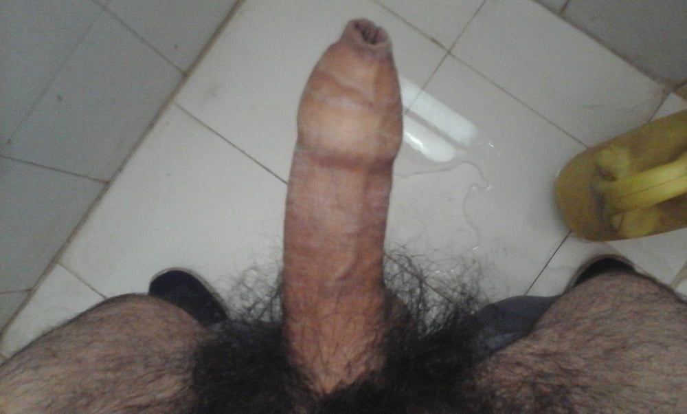Indian middle age man's pennis  #3