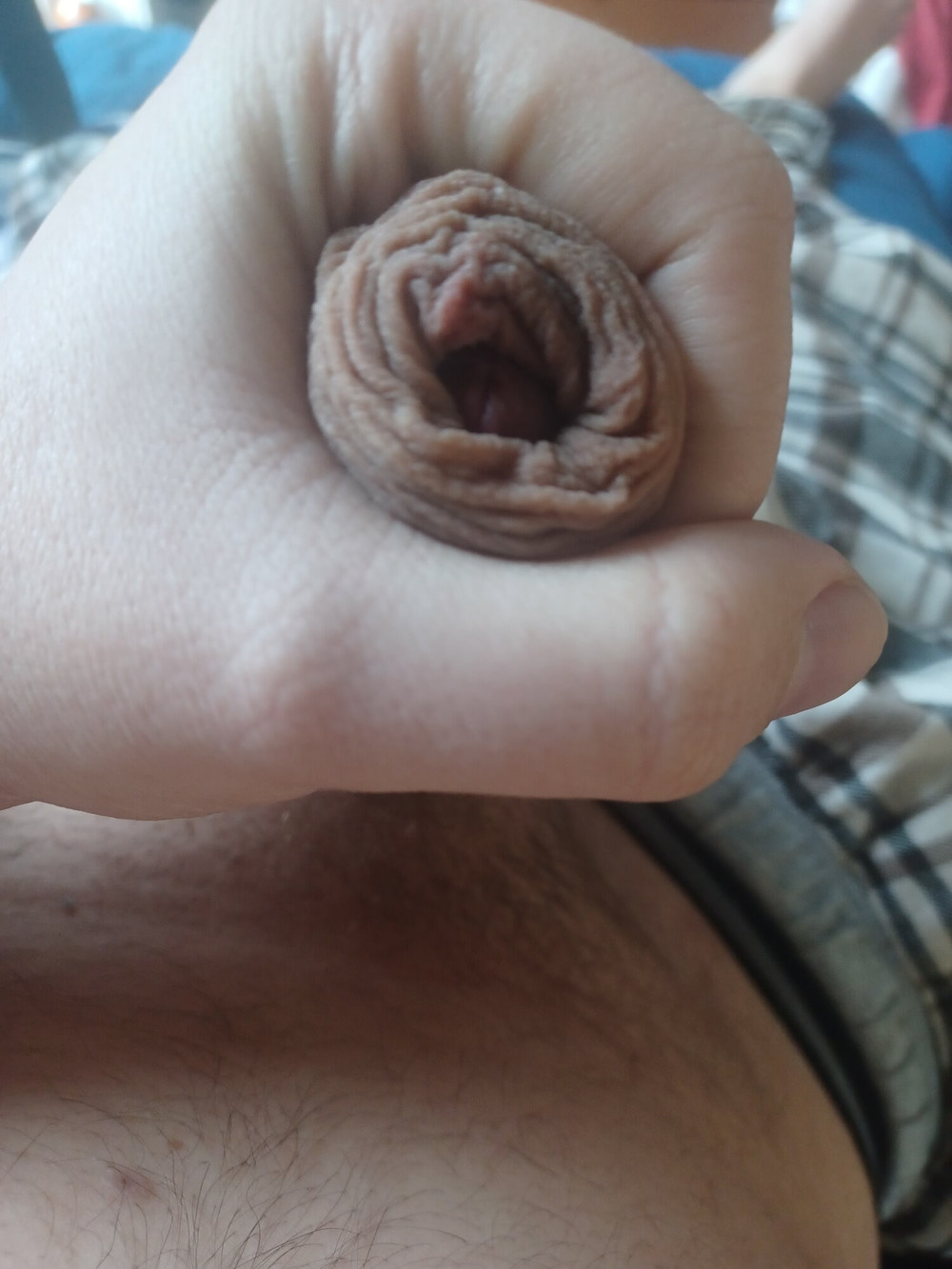 My uncut cock #11