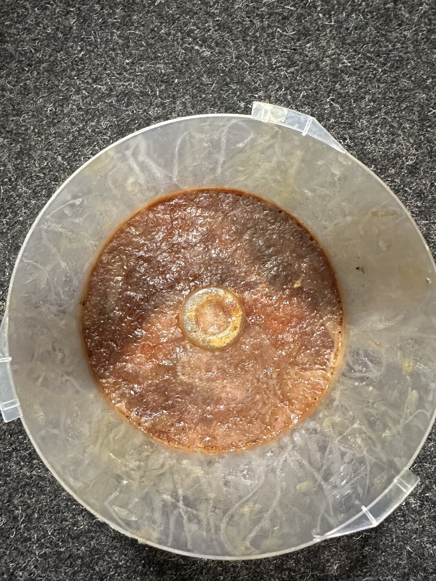 My collected cum #2