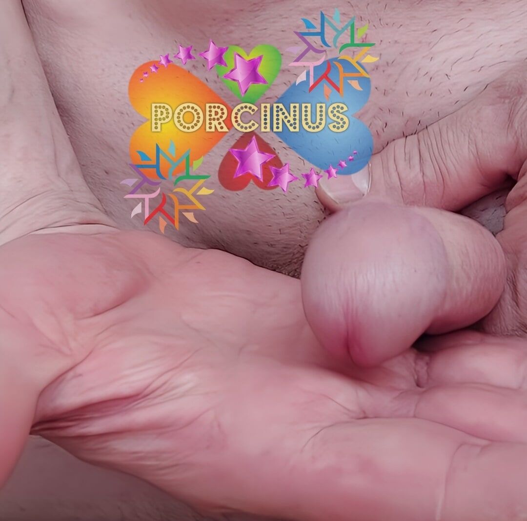 New butt porcinus various anus and cock pictures  #20