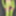 Green Mesh Lingerie #3