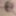 LOktober 28, 2024  Daily duty of the naked slave #4
