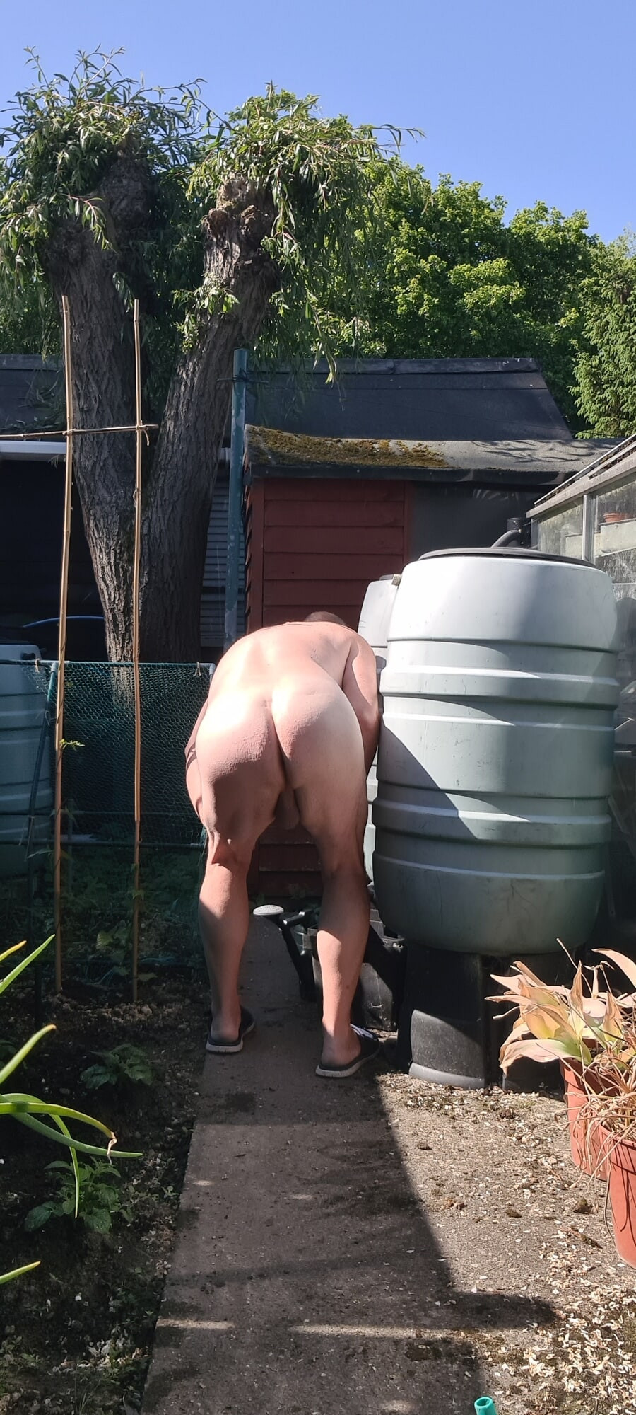 Gardening  #4