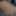 2014-03-29 Triff&#039;s old FMS Mega Masturbator #7