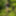 Walking bare-assed through the spring forest #11