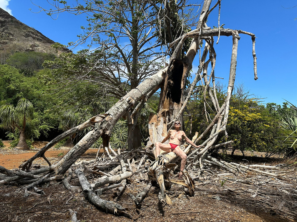 Photos from Hawaii  #35