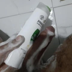 Sikici 