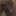 私のペニスの写真 (2)