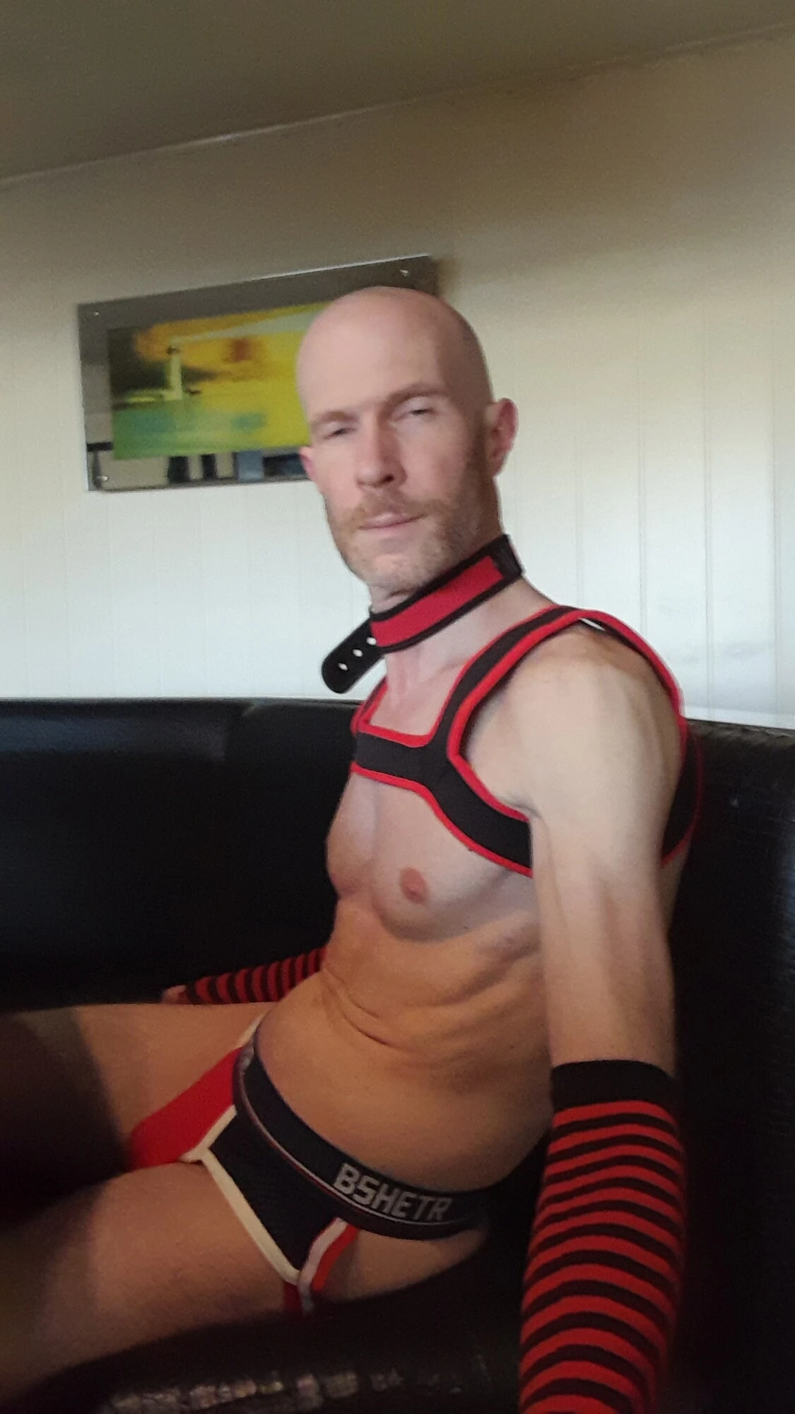 Pup Cherry