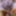 Amateur crossdresser Kellycd2022 sexy milf white pantyhose 