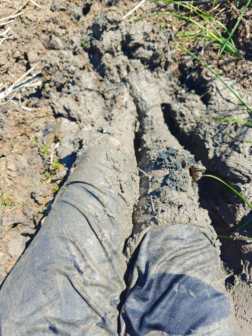 Muddy Feet and Solo #8
