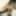 Photo 2016c