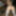 Aroused blonde in stockings taking naughty selfies