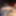 Desi Indian hard Dick close up..
