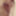 Leopard print body stocking #4