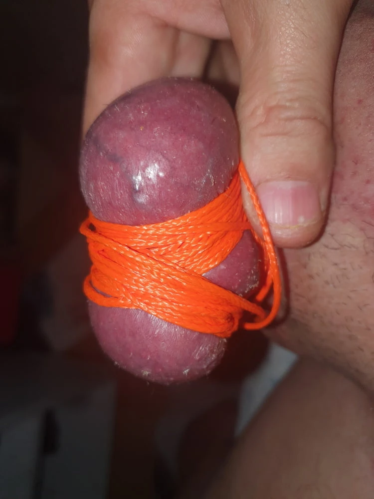 May dick  #5