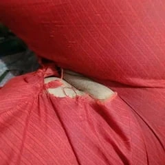 pussy