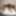 Cuckold Cleanup Fantasy Cum True #39