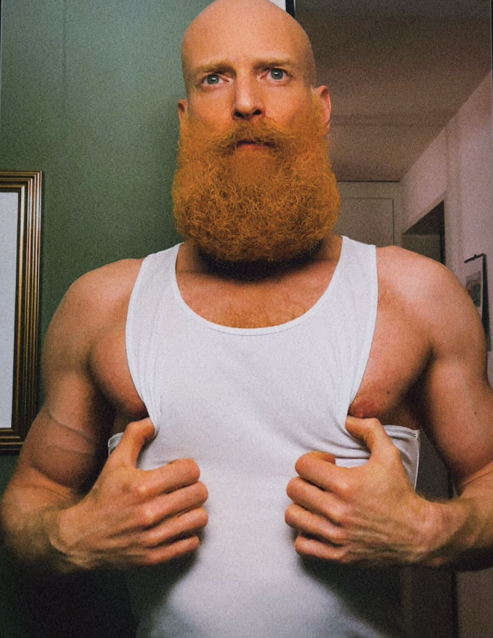 Ginger bush and body