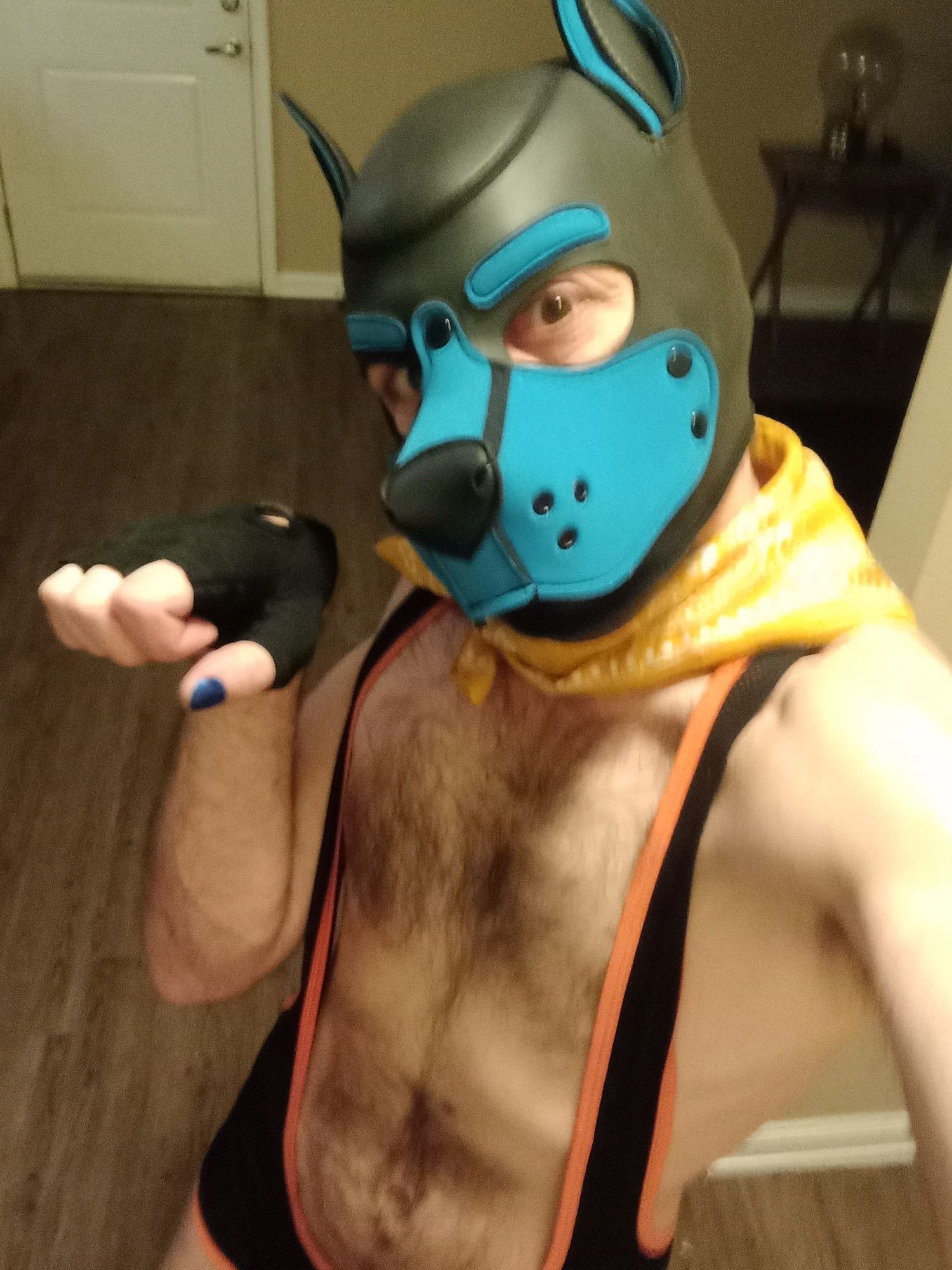 Puppers Showing off in underwear...again #27