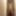 Finally, an update May 2015 #8