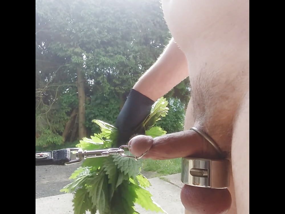 Nettles for my Cock #2