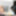 Holli Star Is A Big Black Stepdad Lover  #32