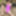 Pink TYR Swimsuit