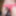 Londiq99 display huge cock 