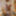 Amateur crossdresser Kellycd2022 sexy milf in white lace #48