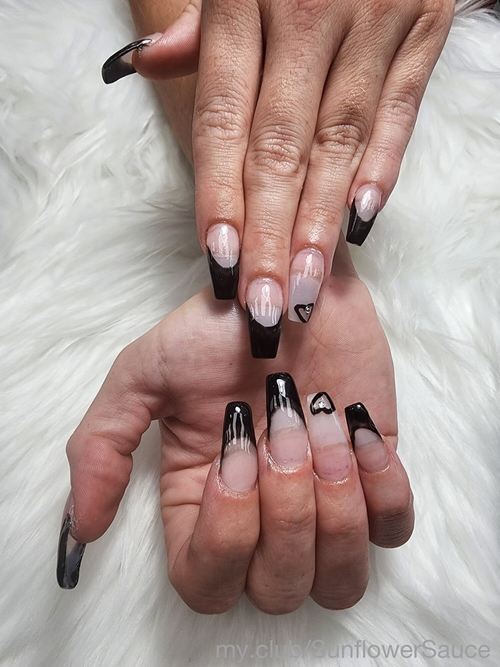 🌻 Sunflower.Sauce  Free Photos #10