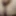 Anal fotoğraflar