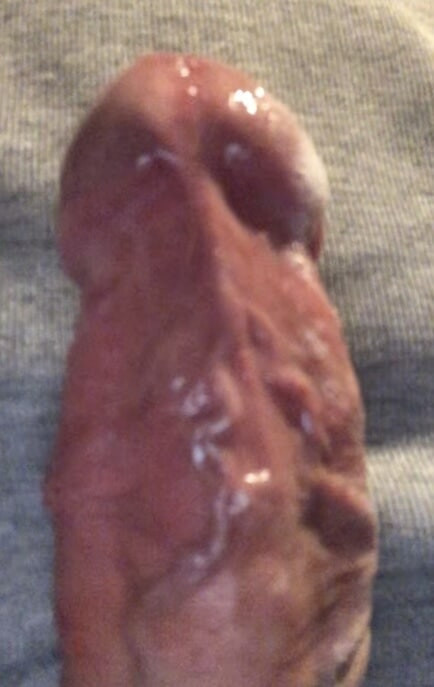 Ladies !... My juicy cock !... #8