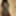 Black honey gets recorded as she showers #10