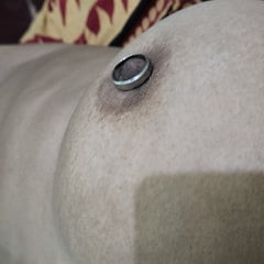 Black Nipples 