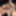 Two MILFS fuck stepson’s dick on family therapy threesome #17