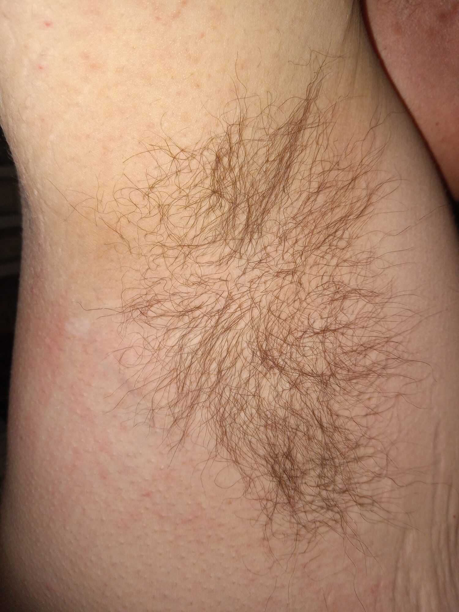 Solo.pelos hairy pussy