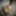 2019