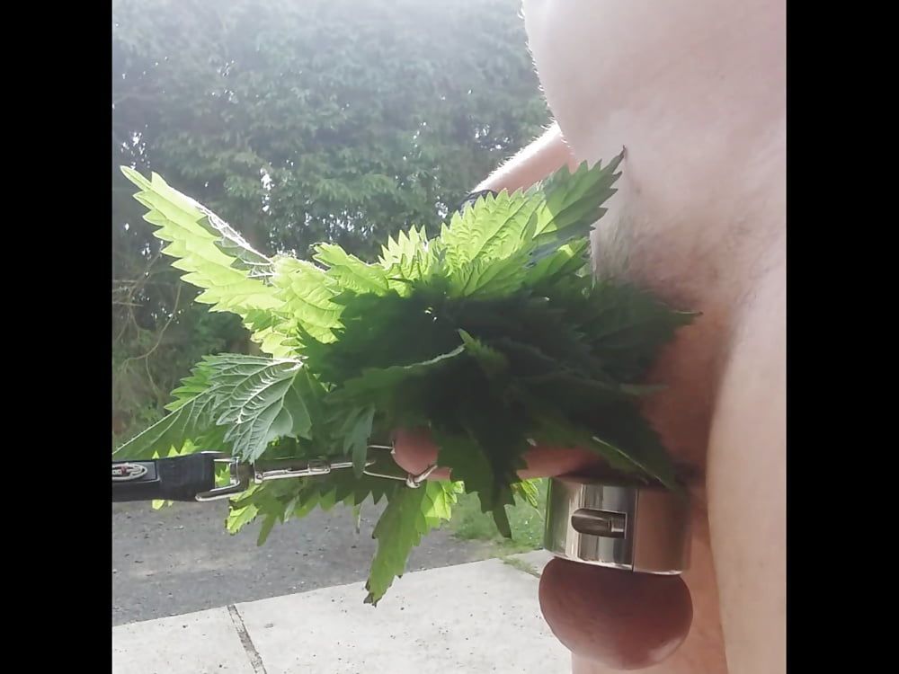 Nettles for my Cock #5