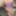 Amateur wife possing