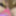 VioletBiTCH💜 ローブ Resille Violette フル CAM4 VaneSsaBarBie