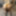 Kendi kendine parlayan fotoğraflarım